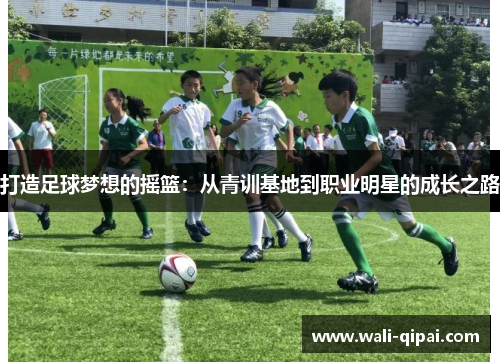 打造足球梦想的摇篮：从青训基地到职业明星的成长之路