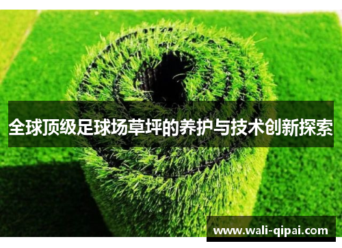 全球顶级足球场草坪的养护与技术创新探索
