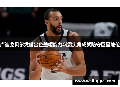 卢迪戈贝尔凭借出色盖帽能力崭露头角成就防守巨星地位