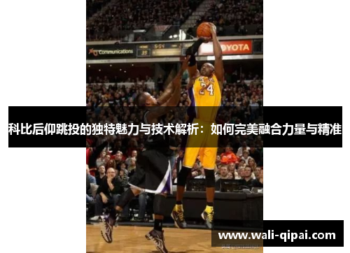 科比后仰跳投的独特魅力与技术解析：如何完美融合力量与精准