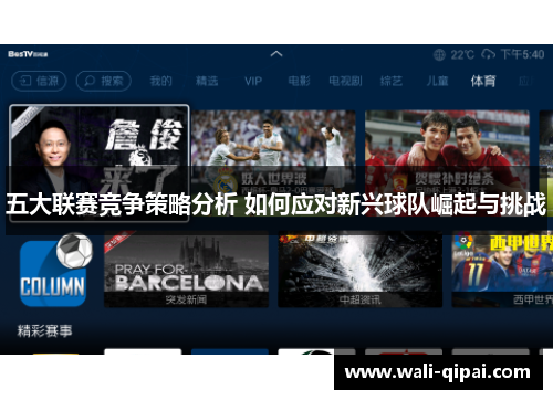 五大联赛竞争策略分析 如何应对新兴球队崛起与挑战