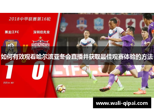 如何有效观看哈尔滨亚冬会直播并获取最佳观赛体验的方法