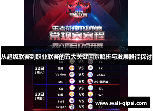 从超级联赛到职业联赛的五大关键因素解析与发展路径探讨