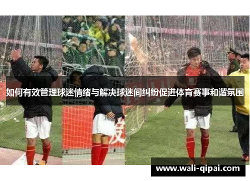如何有效管理球迷情绪与解决球迷间纠纷促进体育赛事和谐氛围