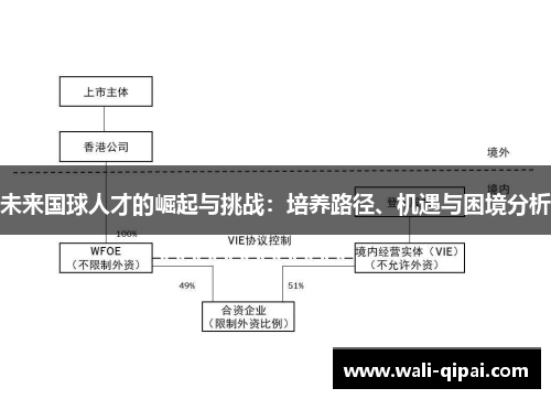 未来国球人才的崛起与挑战：培养路径、机遇与困境分析