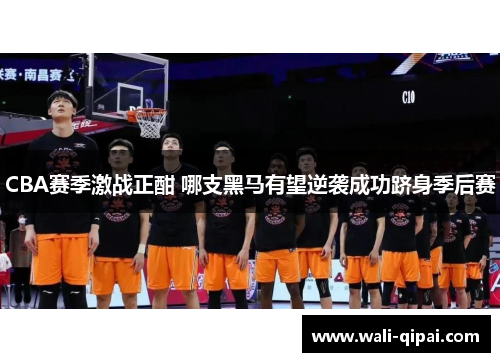 CBA赛季激战正酣 哪支黑马有望逆袭成功跻身季后赛