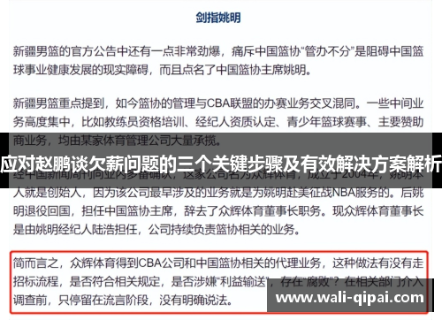应对赵鹏谈欠薪问题的三个关键步骤及有效解决方案解析