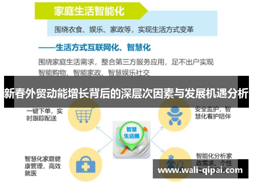 新春外贸动能增长背后的深层次因素与发展机遇分析