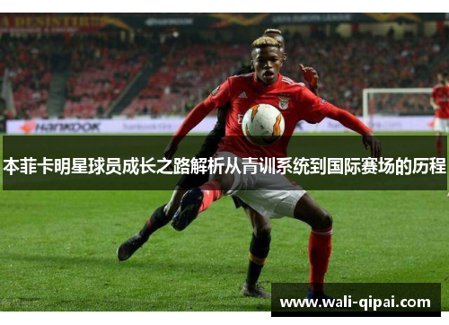 本菲卡明星球员成长之路解析从青训系统到国际赛场的历程