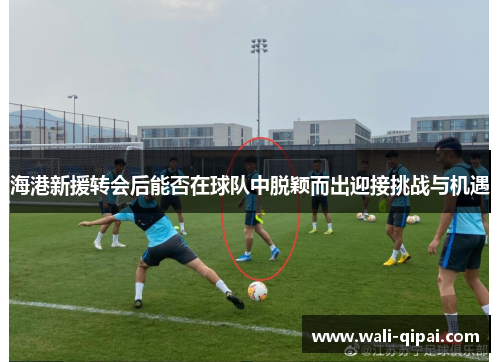 海港新援转会后能否在球队中脱颖而出迎接挑战与机遇