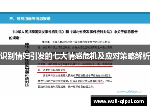 识别情妇引发的七大情感危机及应对策略解析