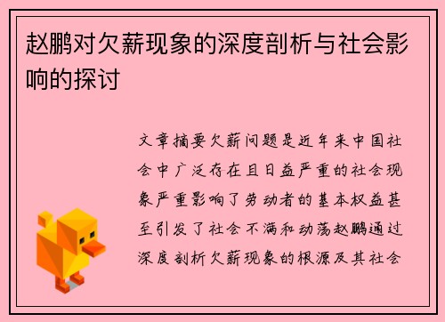 赵鹏对欠薪现象的深度剖析与社会影响的探讨