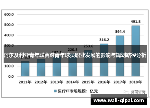 阿尔及利亚青年联赛对青年球员职业发展的影响与规划路径分析