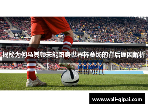 揭秘为何马其顿未能跻身世界杯赛场的背后原因解析
